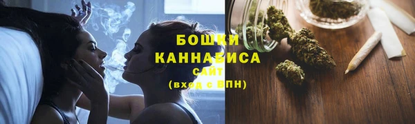 PSILOCYBIN Новодвинск