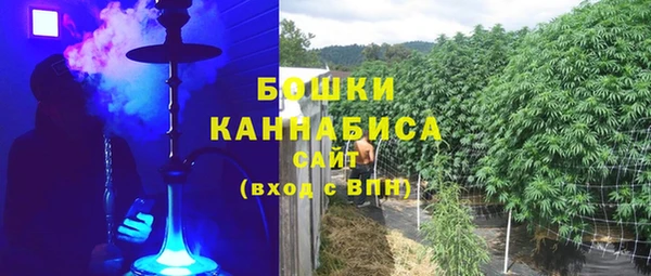 PSILOCYBIN Новодвинск