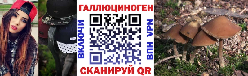 Галлюциногенные грибы мицелий  закладки  Красково 